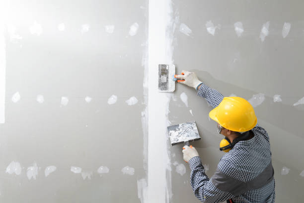 Best Environmental Consulting for Mold Prevention  in Marshville, NC