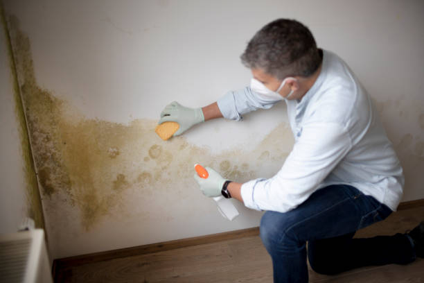 Best Biohazard Mold Removal  in Marshville, NC
