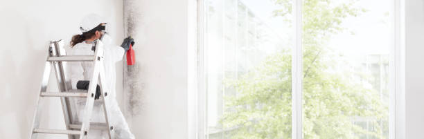 Best Indoor Air Quality Assessment  in Marshville, NC
