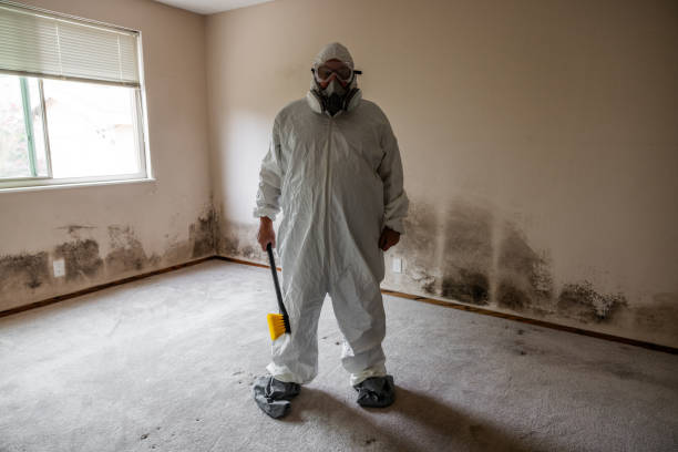 Best Air Quality Testing for Mold Spores  in Marshville, NC
