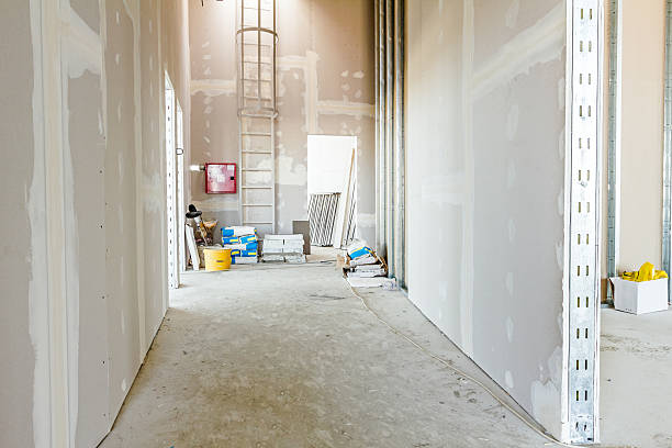 Marshville, NC Mold Removal Company