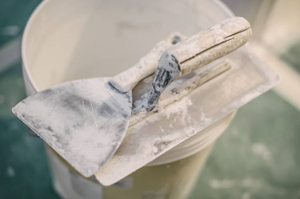 Best Black Mold Removal  in Marshville, NC