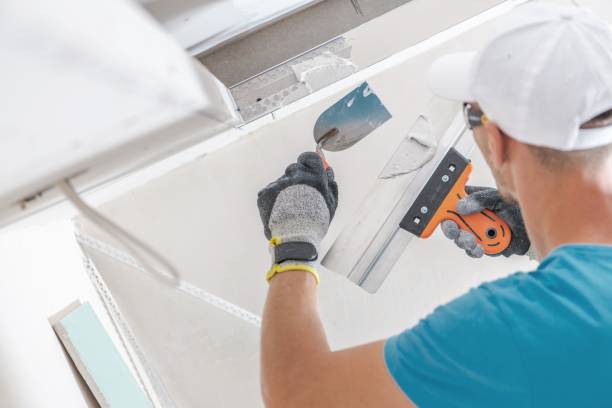 Best Attic Mold Removal  in Marshville, NC